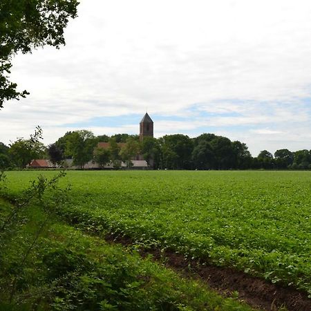 Mooi Nieuw Houten Huisje Havelte Exteriér fotografie