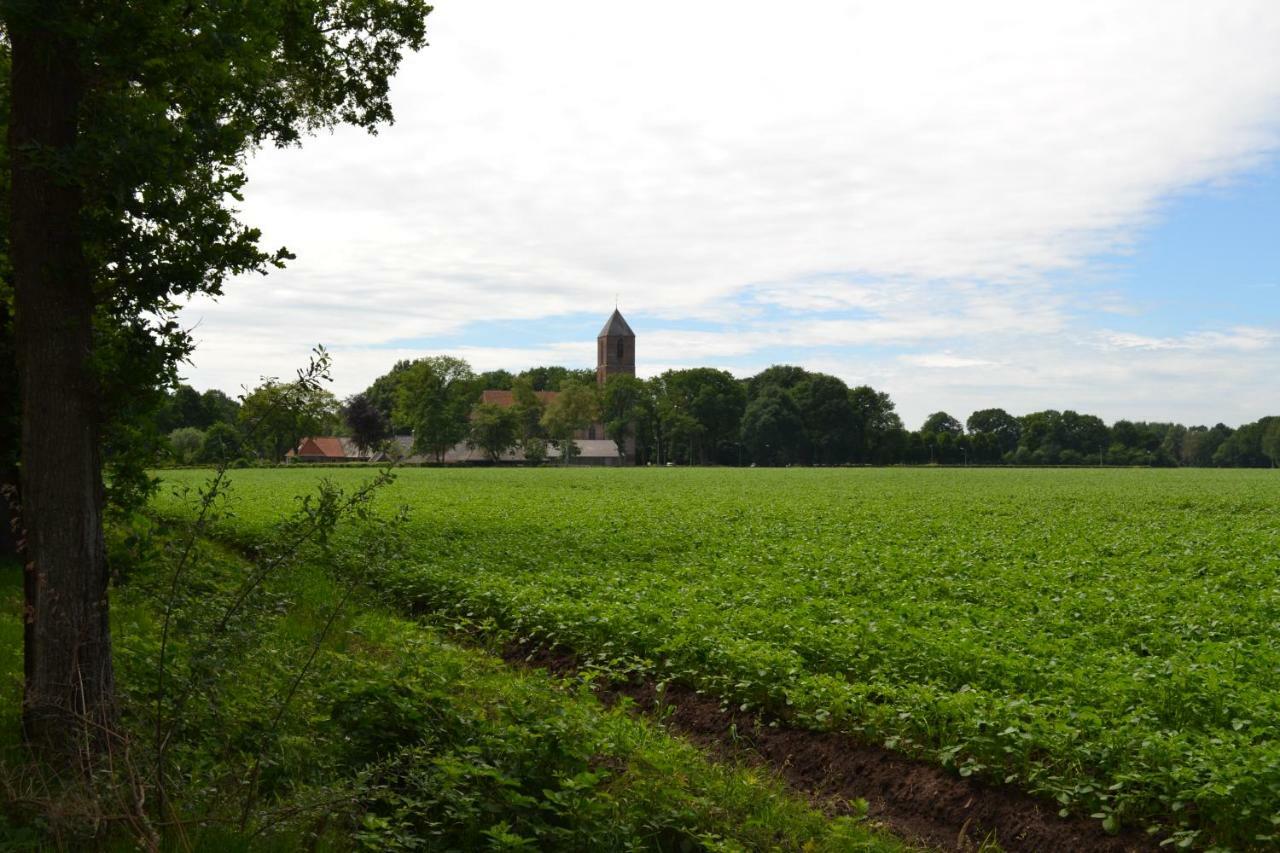 Mooi Nieuw Houten Huisje Havelte Exteriér fotografie