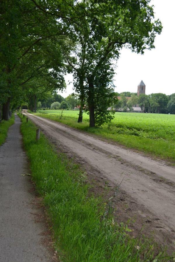 Mooi Nieuw Houten Huisje Havelte Exteriér fotografie
